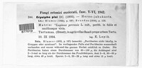 Image Associated With the Occurence
